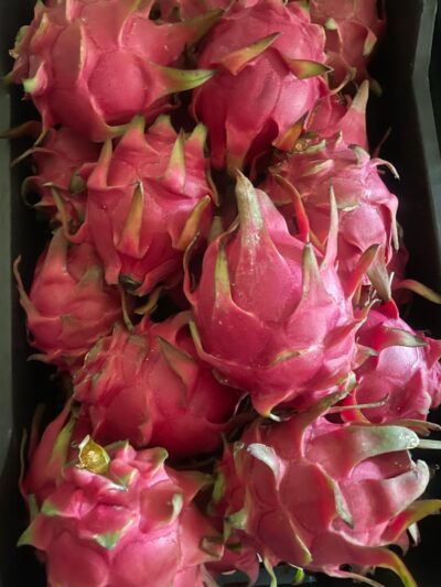 Dragon Fruit