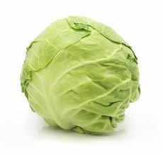 Cabbage
